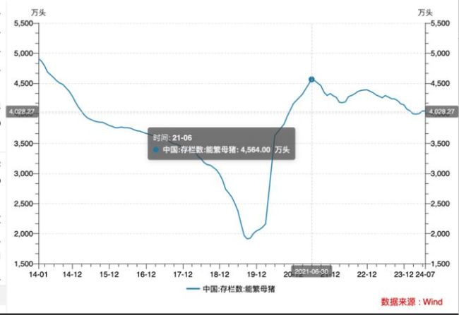 卖一头猪赚800块，首富们终于松了一口气 猪周期迎转折？