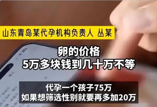 青岛代孕背后，多名女星被卷入“代孕”风波 产业链揭秘