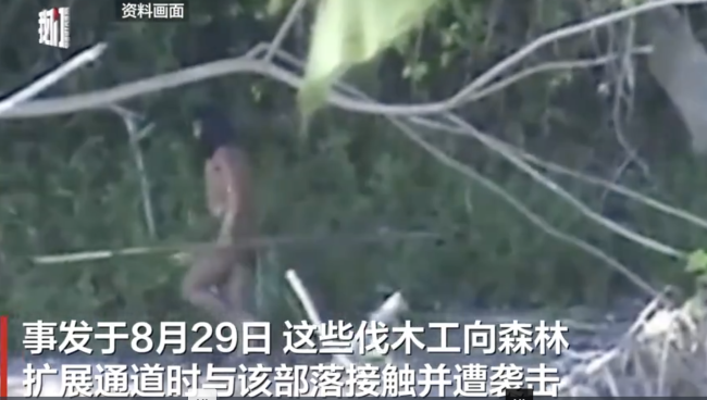 秘鲁伐木工侵犯原始部落领地遭射杀 原住民与工人的紧张局势仍在加剧