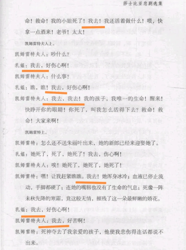 一副教授翻译名著被指抄袭