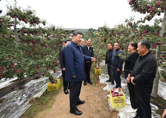 习近平在甘肃调查时着重 深化改革勇于创新苦干实干富民兴陇 奋力编写中国式现代化甘肃华章 途中在陕西宝鸡调查