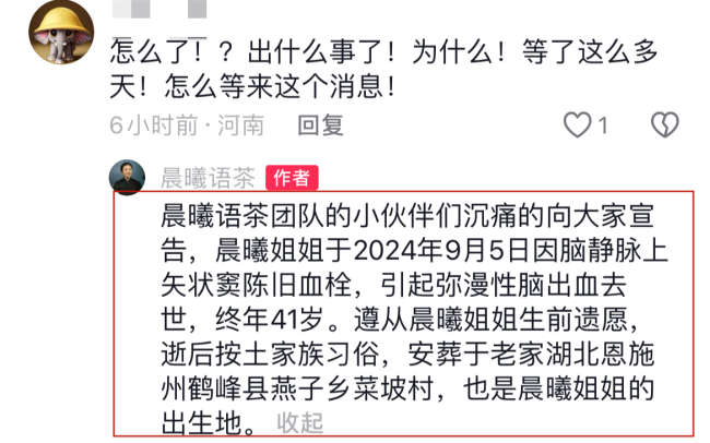 41岁网红晨曦姐姐去世 茶香犹存，优雅永别