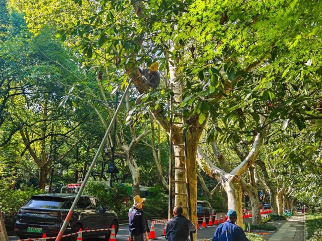 台风“贝碧嘉”将在江浙沿海登陆，多地有大到暴雨