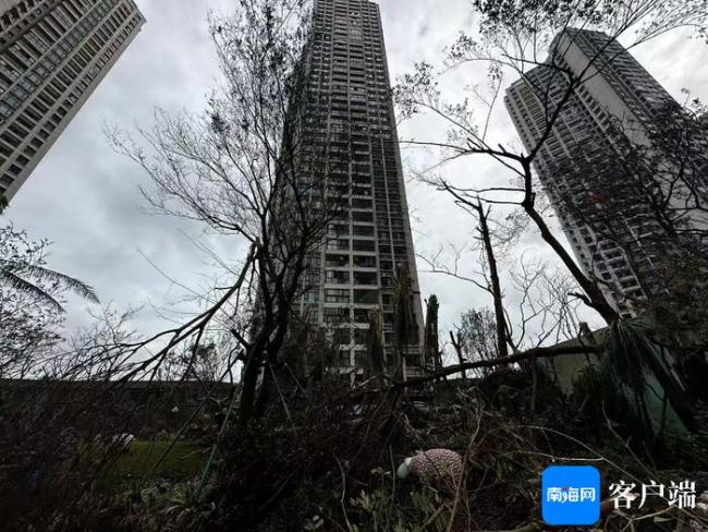 网友妙招应对台风过境的窗台积水 家居安全升级攻略