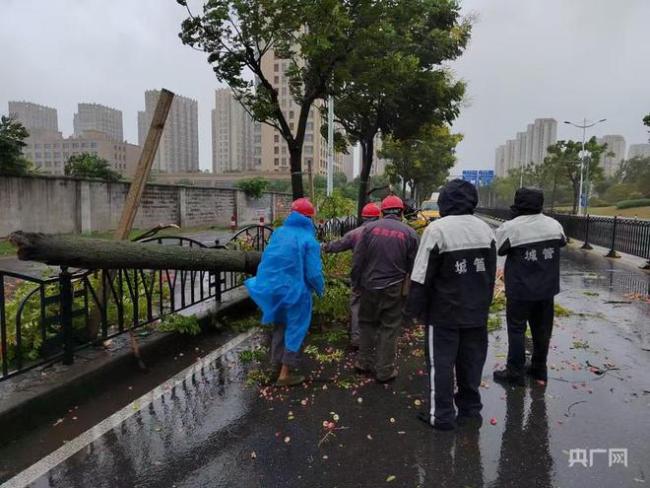 贝碧嘉登陆上海树木被连根拔起 城市奋力应对台风灾情