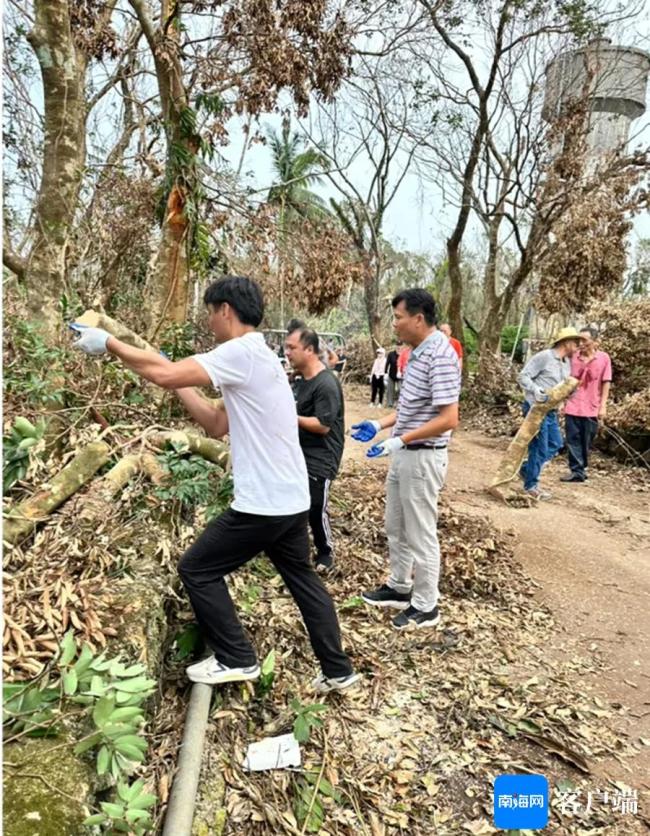 台风过后各地有序恢复生产生活 海口市住建局在行动