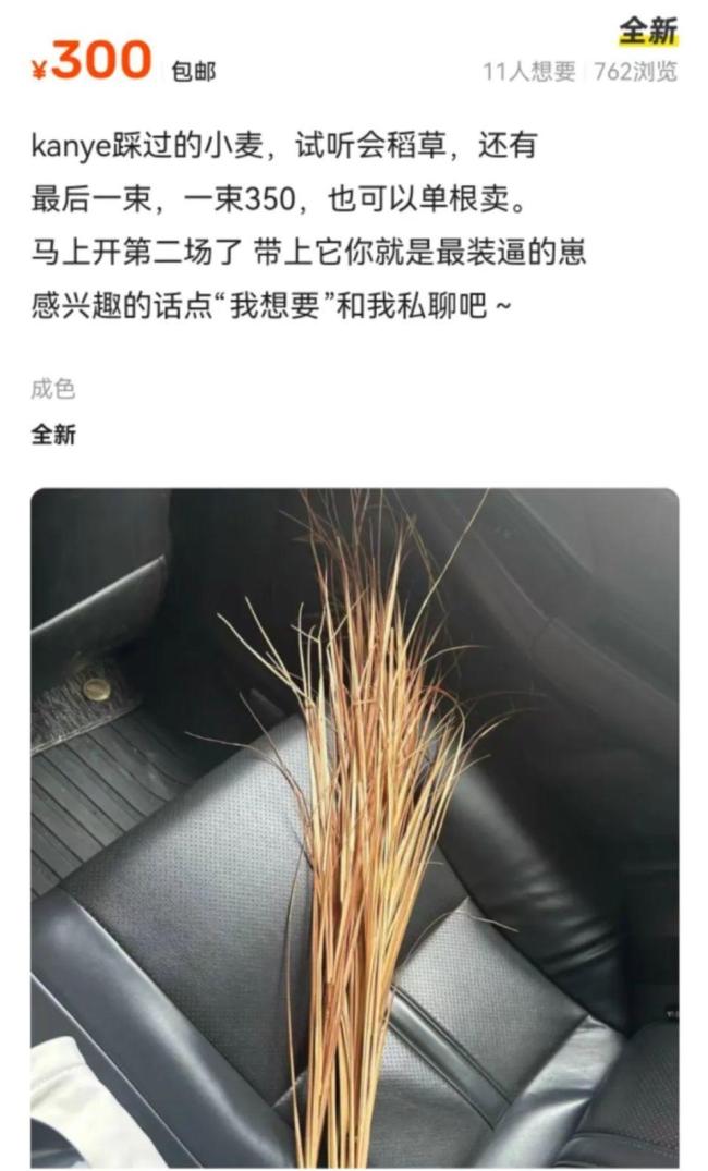 侃爷踩过的"小麦"一株卖三百