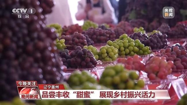 粮食有望获丰收 瓜果飘香产业旺 全国共庆农民丰收节