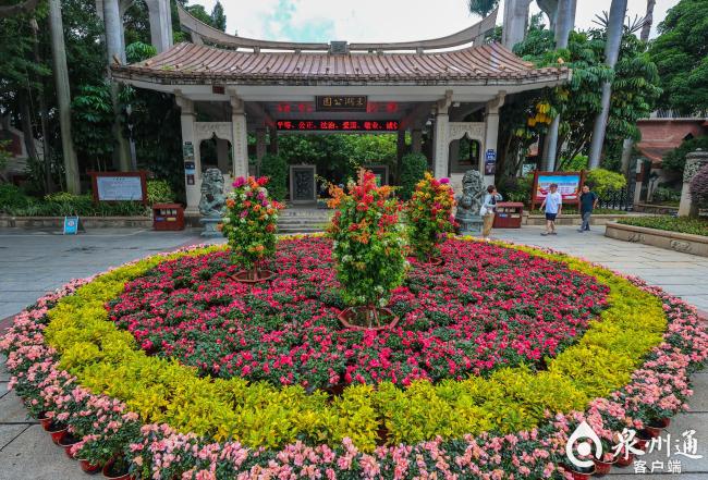 福建泉州：花团锦簇迎国庆，全城盛装喜迎佳节