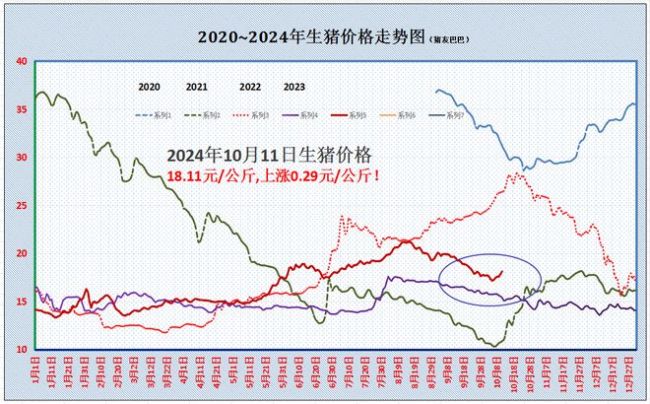 一片红！猪价大涨5.6% 1个新变化