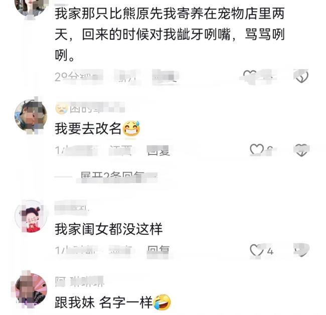 主人出差 小狗气得“学会说话” 忠诚犬鸣似人语