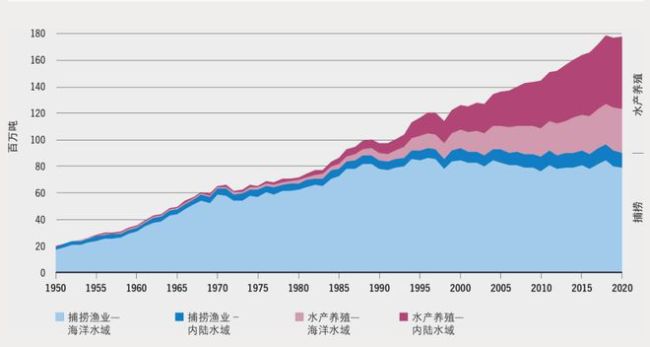 从吃鱼难到人均占有量世界领先，我国是如何成长为渔业大国的