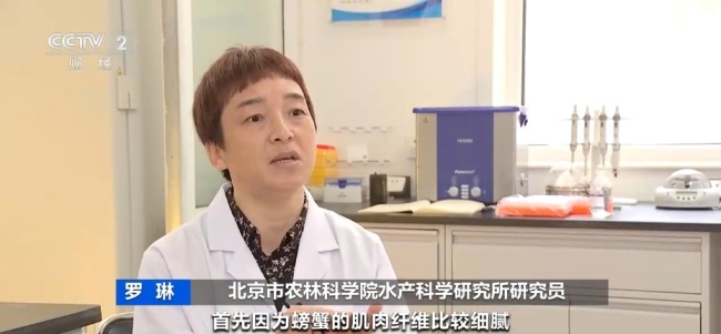 螃蟹有针眼是被打东西了？辟谣 自然生长与争斗所致