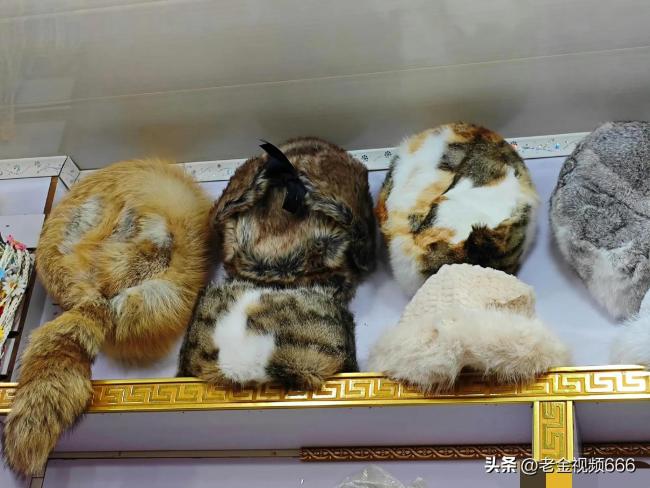 香格里拉古城满大街都是猫皮制品