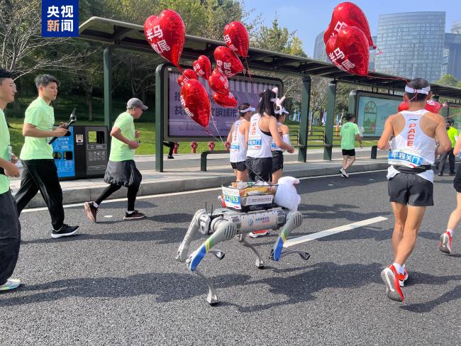 配速9分24秒！“顯眼包”四足機器人來跑馬拉鬆啦