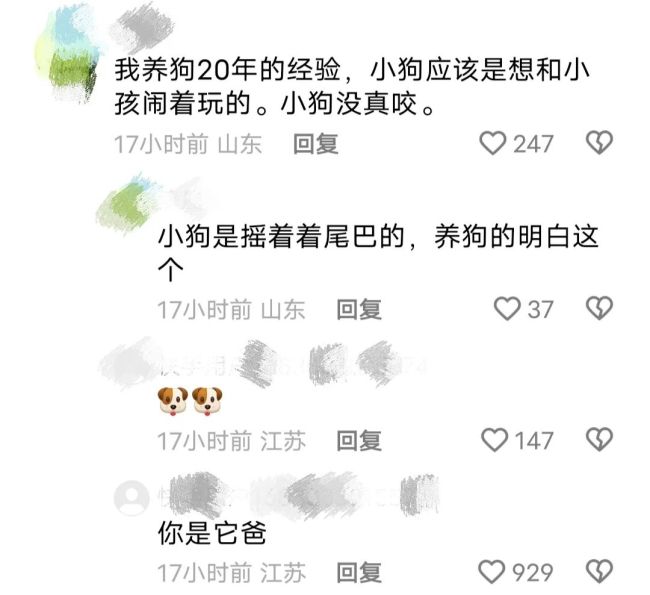 女童商场内遭狗扑咬 狗主人态度嚣张 养狗乱象引争议