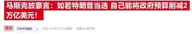 大选风暴席卷金融市场，投行开始关注马斯克“当官”的潜在影响 股市波动加剧