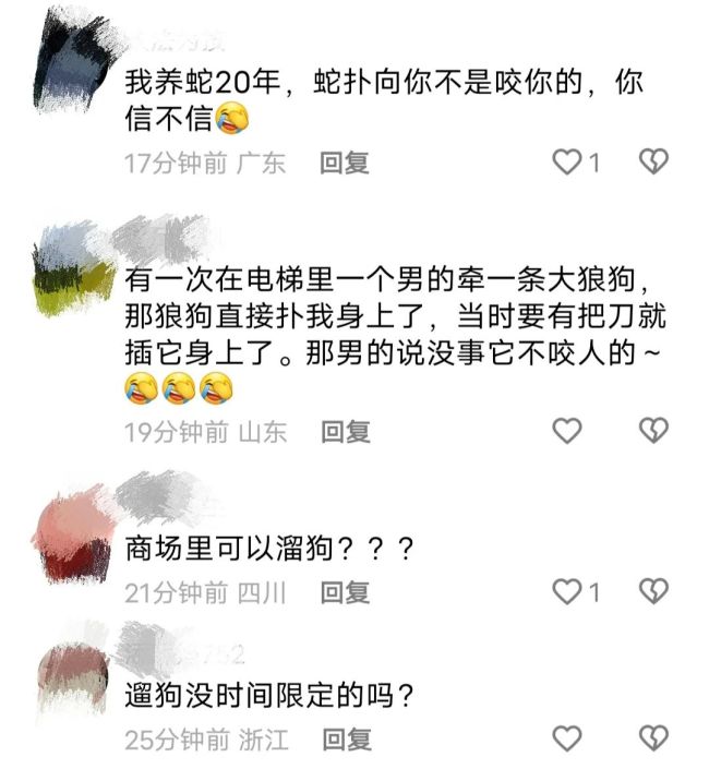 女童商场内遭狗扑咬 狗主人态度嚣张 养狗乱象引争议