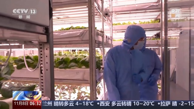 植物工厂长啥样？揭秘种菜“黑科技”