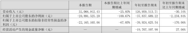 双成药业：面临退市风险警示