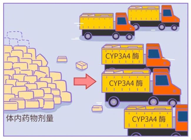 降压药和西柚一起吃严重或致休克 