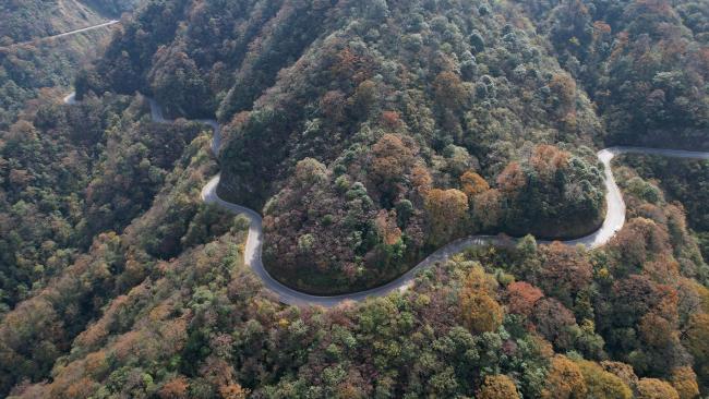 贵州雷山：乡村旅游1号公路美如画 秋林尽染景如画