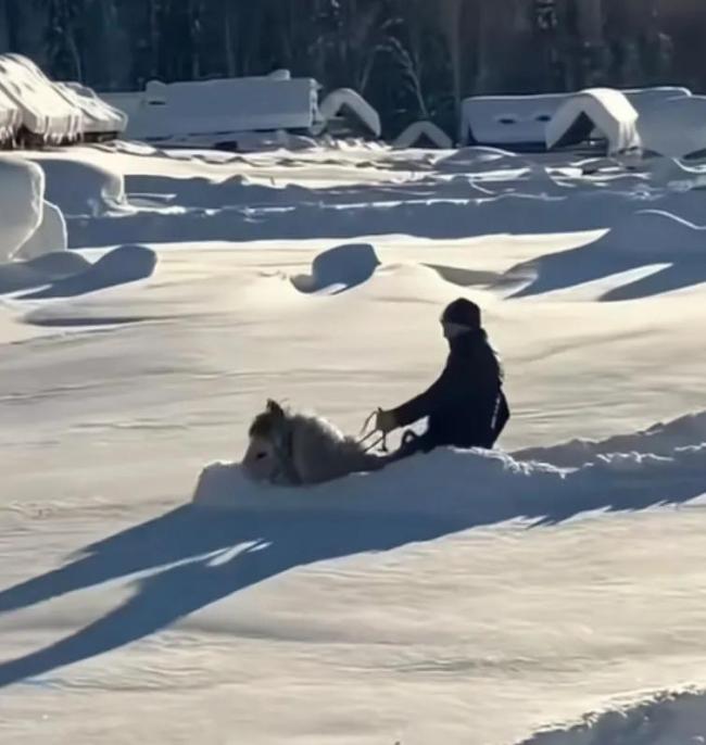 男子骑马在雪地里艰难出行 安全第一