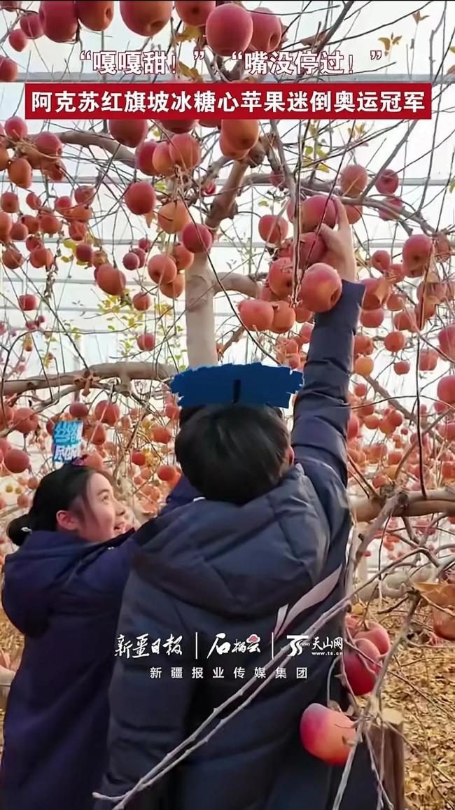 奥运冠军曹缘：以后专买阿克苏苹果 金牌天团摘果乐