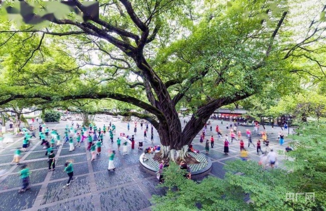 【人民城市·温情中国】留住古韵乡愁 书写“硒”望新篇