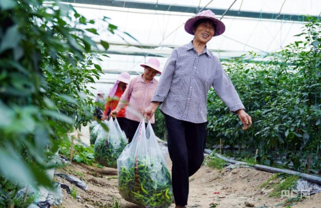 【人民城市·温情中国】留住古韵乡愁 书写“硒”望新篇