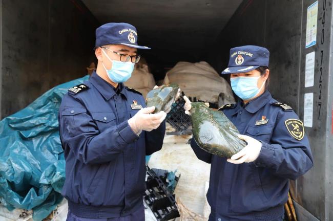 来自非洲马瘟疫区！天津海关首次查获走私阿胶