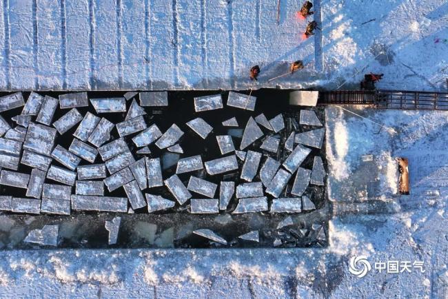 哈尔滨启动采冰建造冰雪景不雅