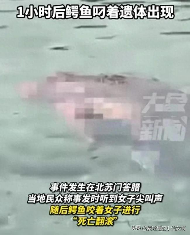 印尼女子河邊洗腳被鱷魚拖走后身亡 悲劇引發(fā)廣泛關(guān)注