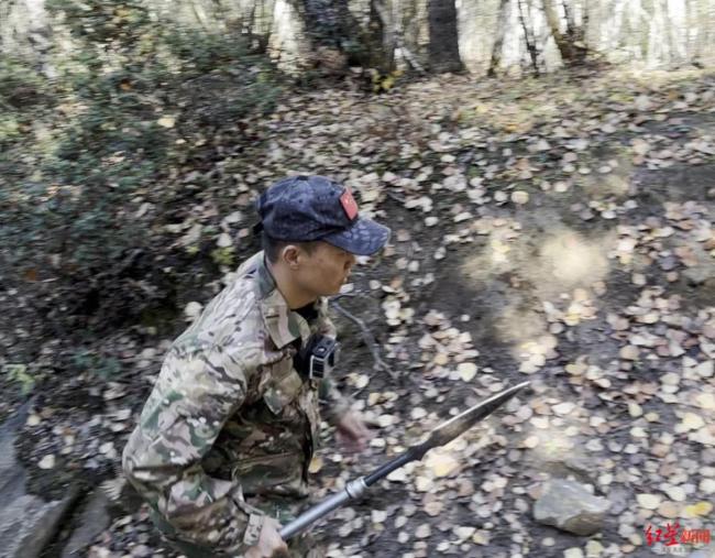 专家谈野猪是否真已到泛滥地步 科学调控成焦点