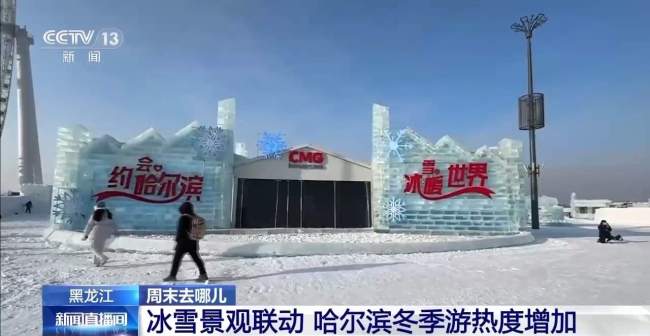 冬至到哈尔滨来一个超大“雪饺子” 冰雪游热度攀升