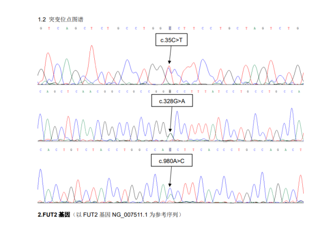 海南发现“恐龙血” 比“熊猫血”还罕见！