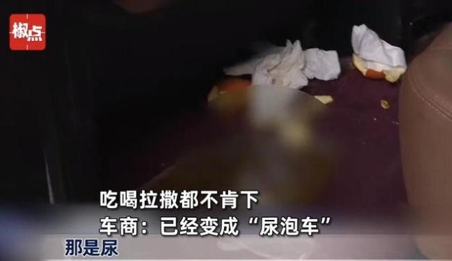 女子退车不成住进车里 车内闹剧引发热议