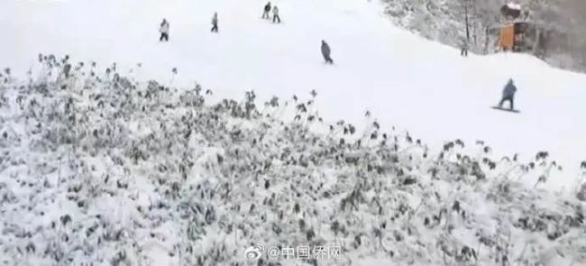 滑雪有哪些注意事项