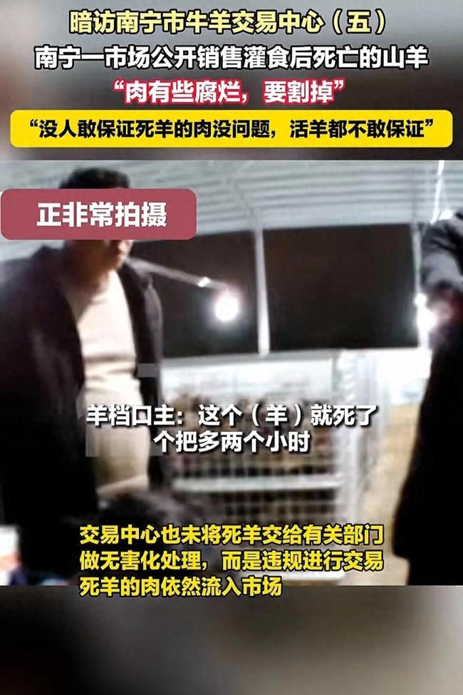 广西南宁山羊交易乱象调查 灌食增重黑幕曝光