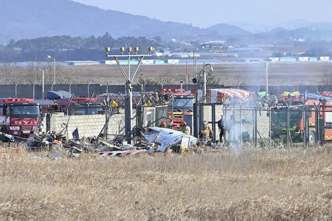 韩旅客临终与家人聊天 鸟卡机翼致无法降落