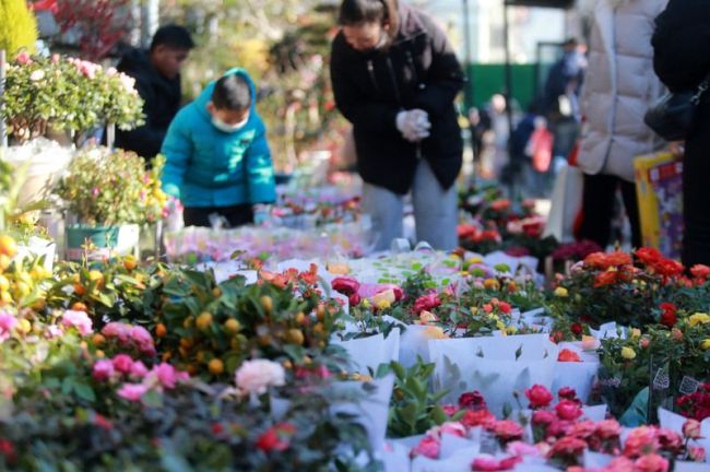 市民选购鲜花迎新年