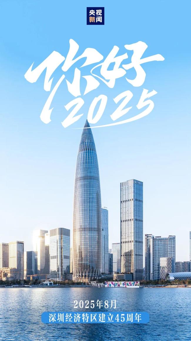 12张图，速览2025