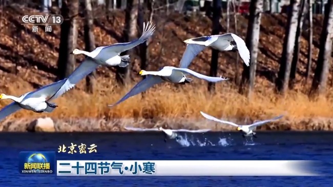 二十四节气·小寒 虽寒犹美的冬日画卷