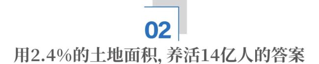 印度靠什么养活了14亿人口？