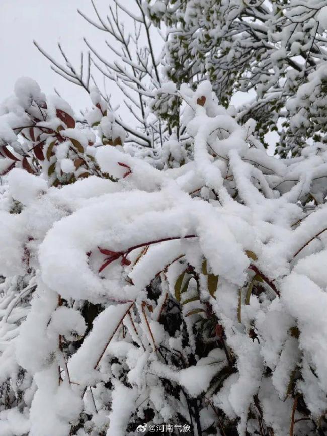 鄭州出現(xiàn)大暴雪 積雪深度超20厘米