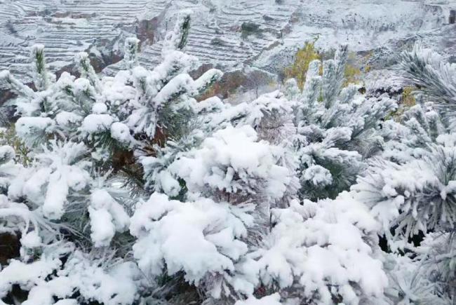 今日進(jìn)五九 晴天好還是下雪好？農(nóng)諺揭秘最佳天氣