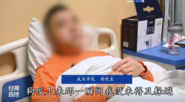 男子学狗语驯狗 一开口就被扑咬 尝试模仿酿意外