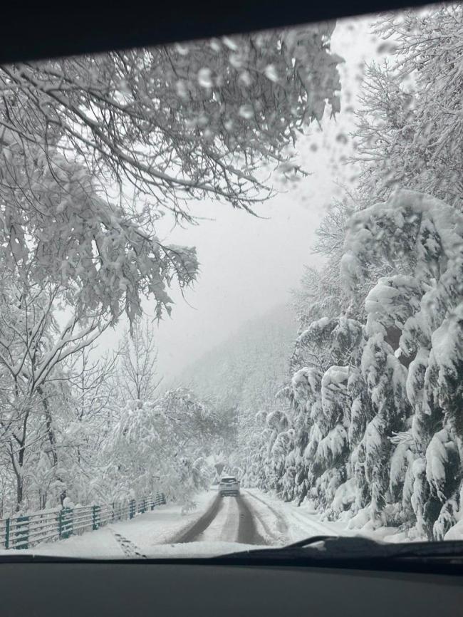 自駕返鄉(xiāng)遇暴雪 電車不敢開空調 2小時車程開了24小時！