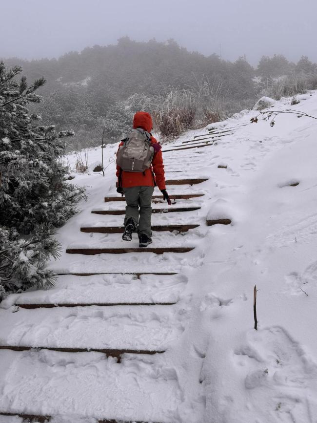 浙江多地高山區(qū)出現(xiàn)積雪 新一股冷空氣已安排 雨雪來去匆匆寒意濃