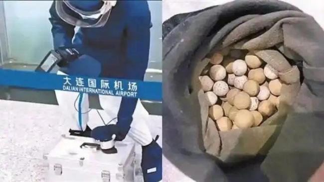 1年輻射量等同于拍5000次胸片,！專家：不建議購買